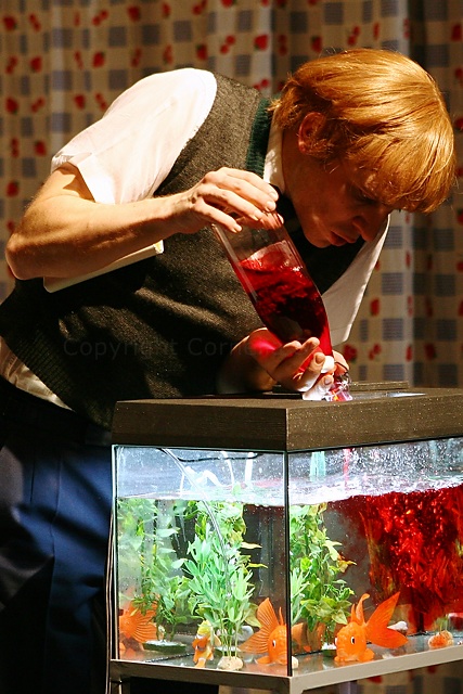 Das Buch von allen Dingen