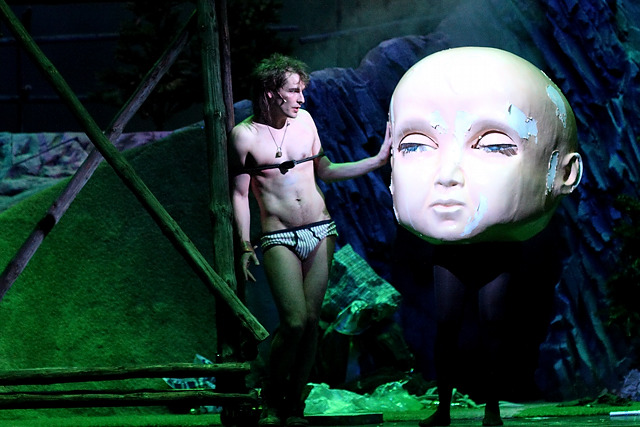 Dorfpunks - Die Blueten der Gewalt