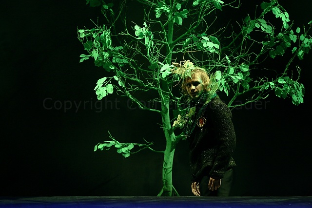 Das Geheimnis der Schwarzen Spinne