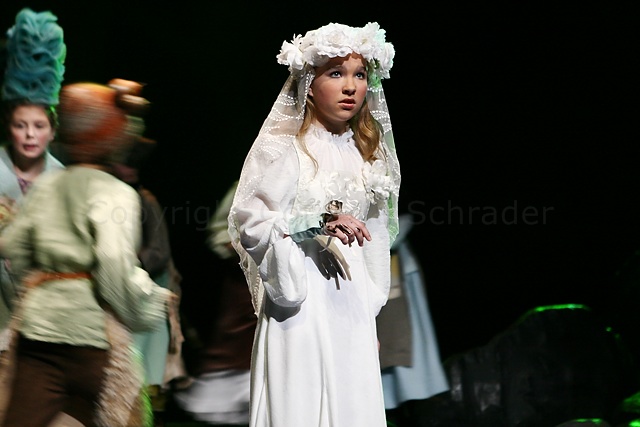 Das Geheimnis der Schwarzen Spinne