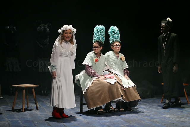 Das Geheimnis der Schwarzen Spinne