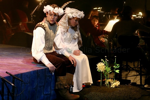 Das Geheimnis der Schwarzen Spinne