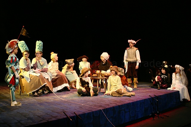 Das Geheimnis der Schwarzen Spinne